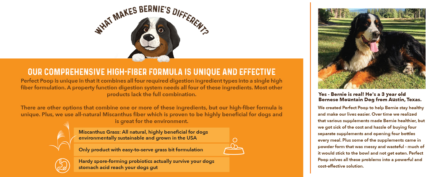 What Makes Bernie&amp;#39;s Different?