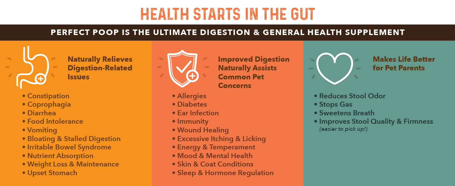 Health Starts In The Gut
