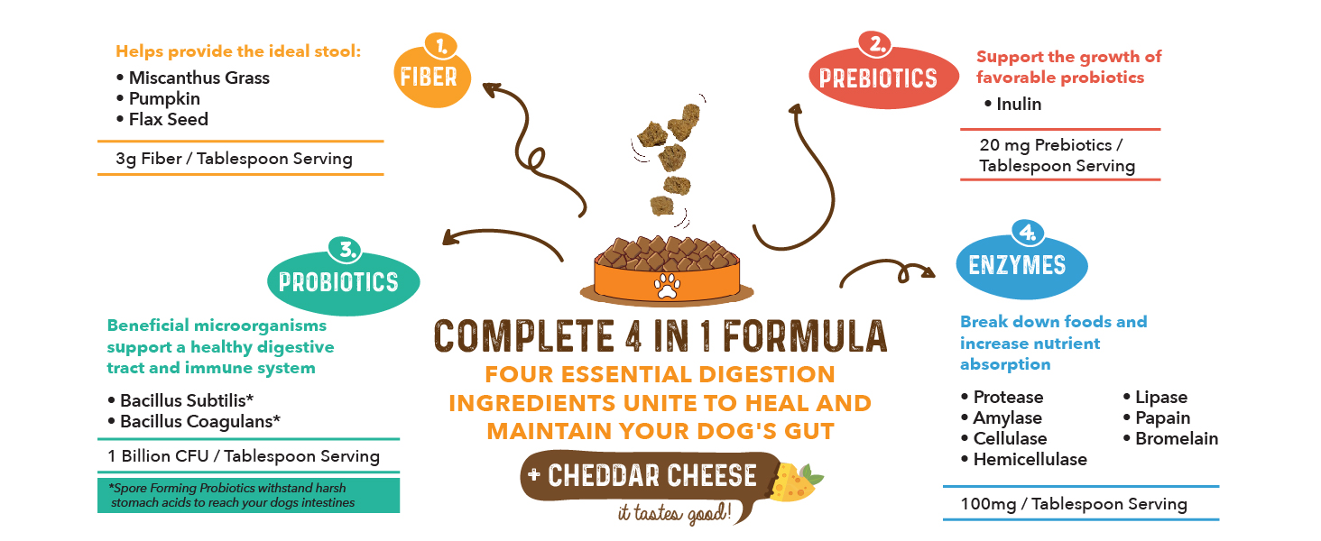 Complete 4-in-1 Formula