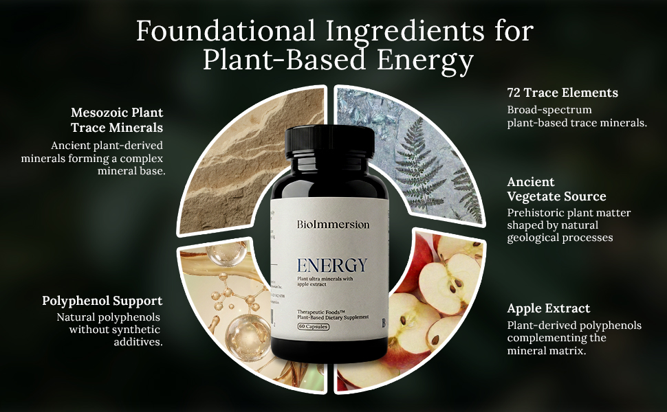Polyphenol Rich Antioxidant Supplement Energy Metabolism Booster Endurance Support Capsules
