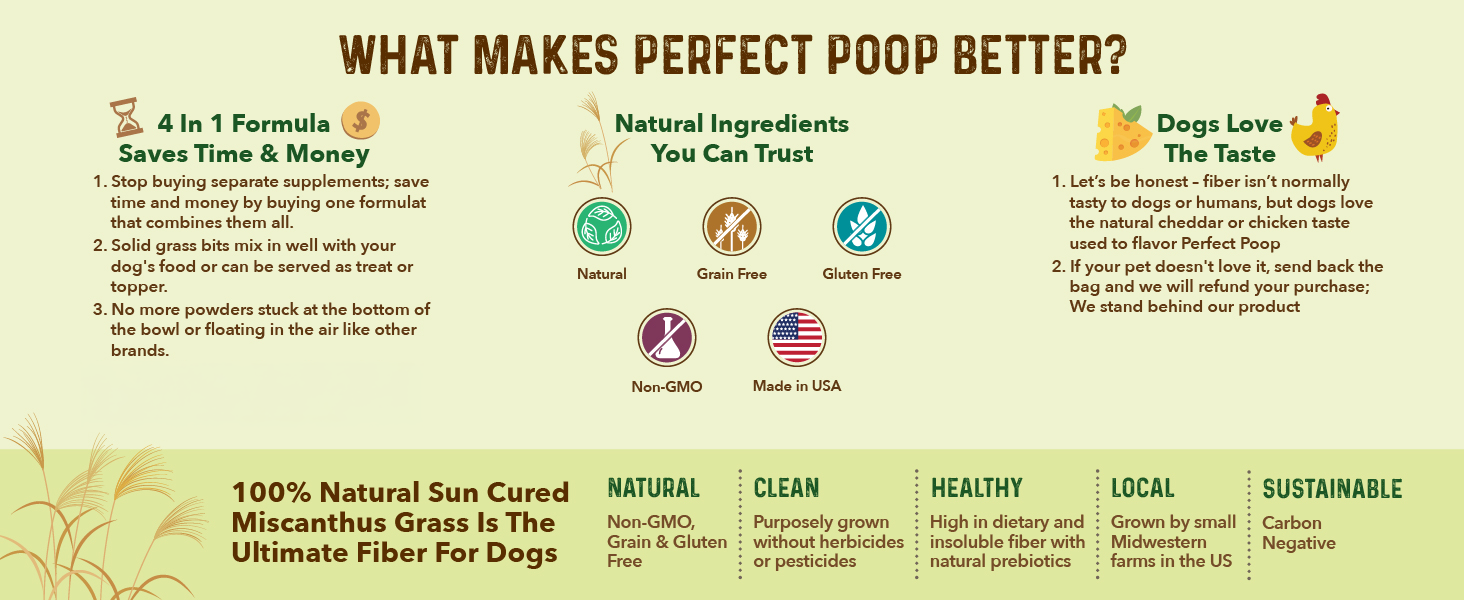 What Makes Perfect Poop Better?